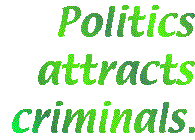[Breaker quote: Politics attracts criminals.]
