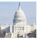 Capitol Bldg, Washington Watch logo for Bush at the Stake